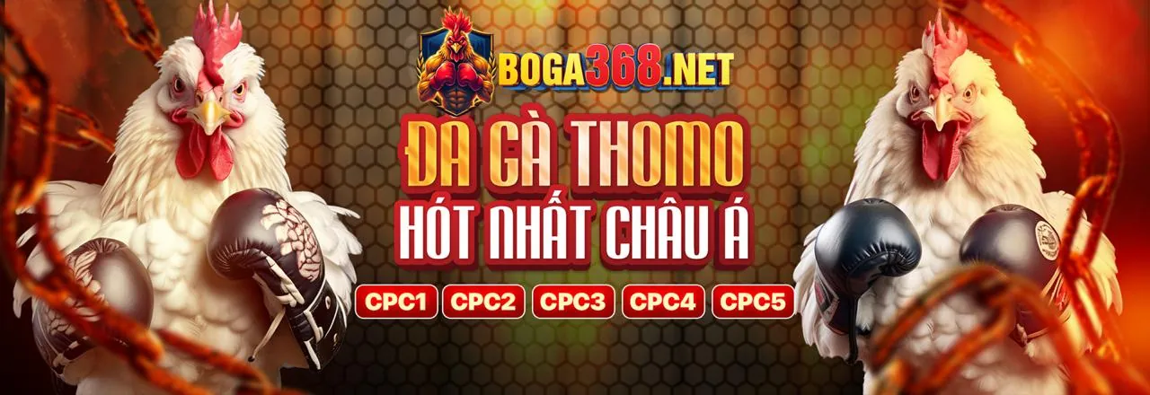 Hình ảnh đại lý pp88 Casino, thể hiện sự hợp tác và thành công