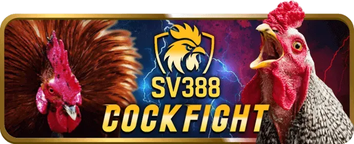 Hệ thống báo cáo và theo dõi hiệu suất đại lý pp88 Casino